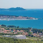 Pet Friendly In * Tinj