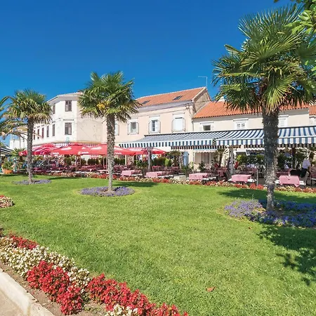 Pet Friendly In Tinj